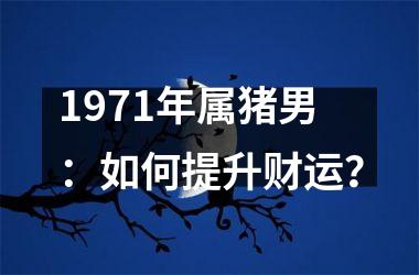 1971年属猪男：如何提升财运？