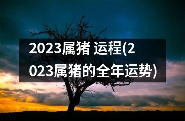 2025属猪 运程(2025属猪的全年运势)