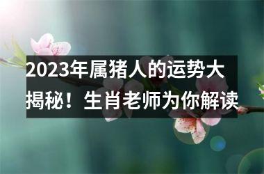 2025年属猪人的运势大揭秘！生肖老师为你解读