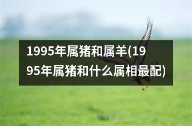 1995年属猪和属羊(1995年属猪和什么属相配)