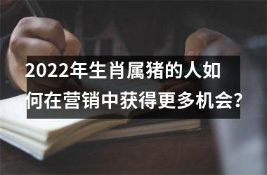 <h3>2025年生肖属猪的人如何在营销中获得更多机会？