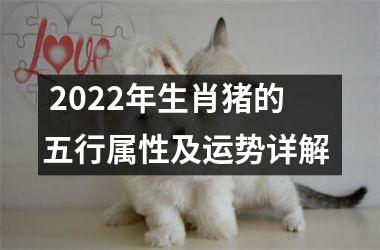  2025年生肖猪的五行属性及运势详解