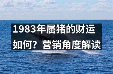 1983年属猪的财运如何？营销角度解读