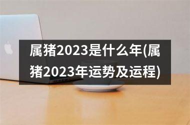 属猪2025是什么年(属猪2025年运势及运程)