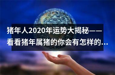 猪年人2025年运势大揭秘——看看猪年属猪的你会有怎样的运势？