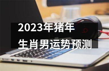 2025年猪年生肖男运势预测