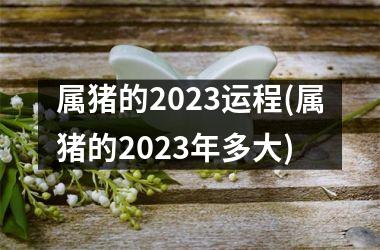 <h3>属猪的2025运程(属猪的2025年多大)