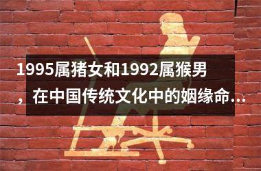 1995属猪女和1992属猴男，在传统文化中的姻缘命理分析与解读