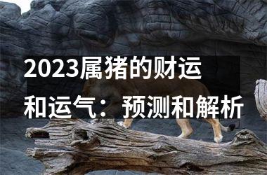 2025属猪的财运和运气：预测和解析