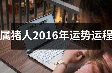 属猪人2016年运势运程