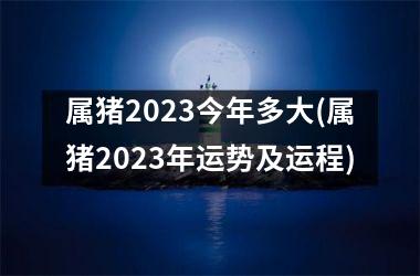 属猪2025今年多大(属猪2025年运势及运程)