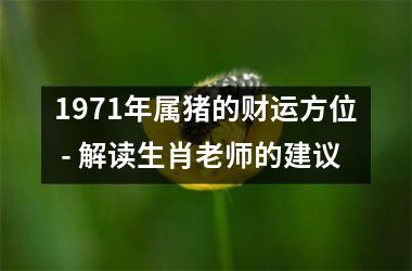 <h3>1971年属猪的财运方位 - 解读生肖老师的建议