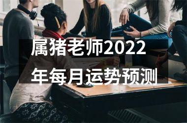 属猪老师2025年每月运势预测