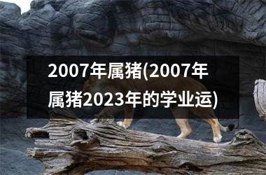 <h3>2007年属猪(2007年属猪2025年的学业运)