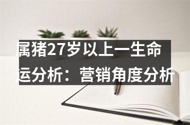 属猪27岁以上一生命运分析：营销角度分析