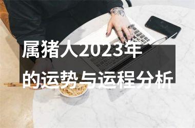 <h3>属猪人2025年的运势与运程分析