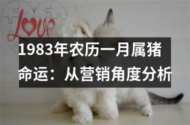 1983年农历一月属猪命运：从营销角度分析