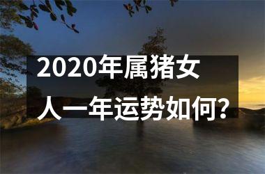 2025年属猪女人一年运势如何？