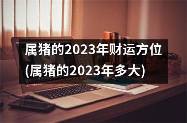 属猪的2025年财运方位(属猪的2025年多大)