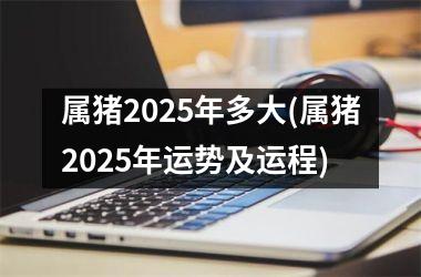 属猪2025年多大(属猪2025年运势及运程)