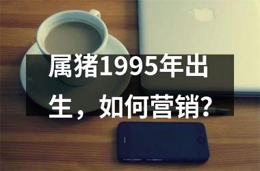 属猪1995年出生，如何营销？