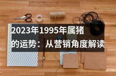 2025年1995年属猪的运势：从营销角度解读