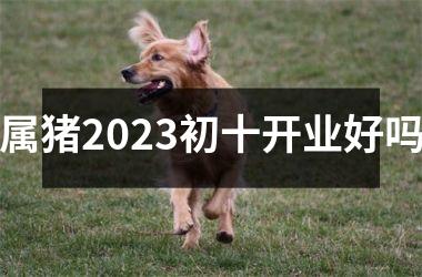 属猪2025初十开业好吗