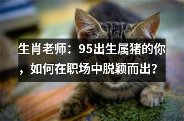 生肖老师：95出生属猪的你，如何在职场中脱颖而出？