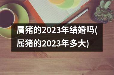 属猪的2025年结婚吗(属猪的2025年多大)