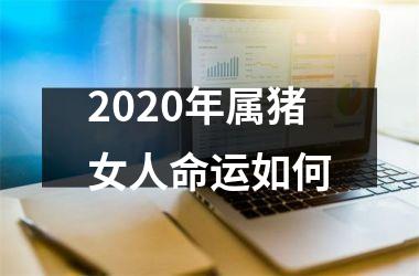 2025年属猪女人命运如何