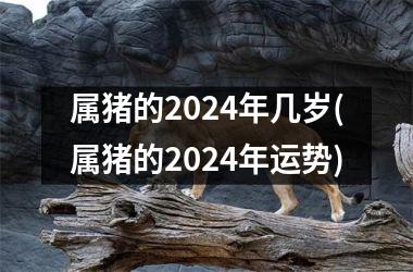 属猪的2024年几岁(属猪的2024年运势)