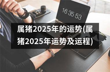 属猪2025年的运势(属猪2025年运势及运程)