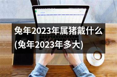 <h3>兔年2025年属猪戴什么(兔年2025年多大)