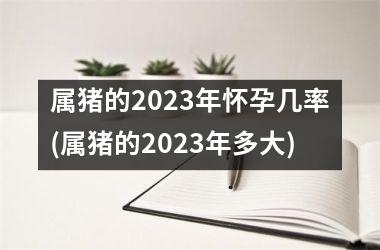 <h3>属猪的2025年怀孕几率(属猪的2025年多大)