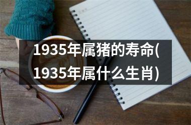 1935年属猪的寿命(1935年属什么生肖)