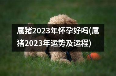 <h3>属猪2025年怀孕好吗(属猪2025年运势及运程)