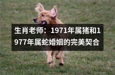 生肖老师：1971年属猪和1977年属蛇婚姻的完美契合