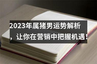 <h3>2025年属猪男运势解析，让你在营销中把握机遇！