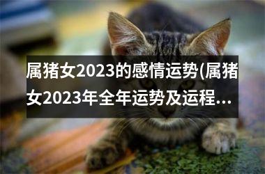 属猪女2025的感情运势(属猪女2025年全年运势及运程)