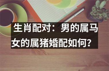  生肖配对：男的属马女的属猪婚配如何？