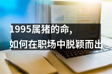 <h3>1995属猪的命, 如何在职场中脱颖而出