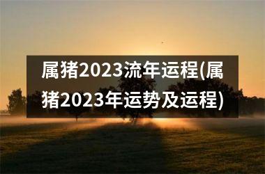 属猪2023流年运程(属猪2023年运势及运程)