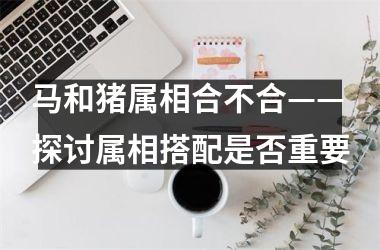 马和猪属相合不合——探讨属相搭配是否重要