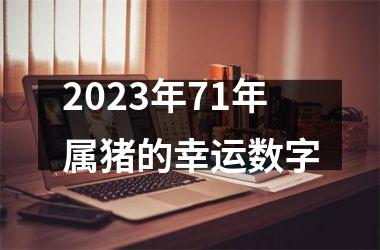 2025年71年属猪的幸运数字