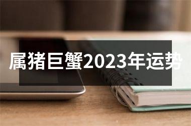 属猪巨蟹2025年运势