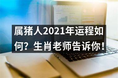 属猪人2025年运程如何？生肖老师告诉你！