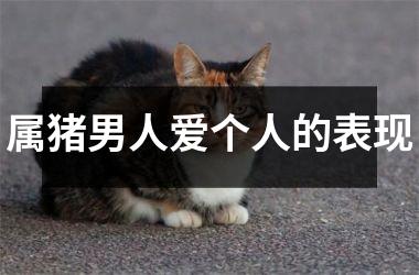 属猪男人爱个人的表现