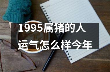 1995属猪的人运气怎么样今年