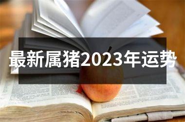 新属猪2025年运势