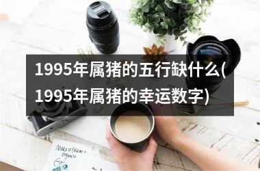 <h3>1995年属猪的五行缺什么(1995年属猪的幸运数字)